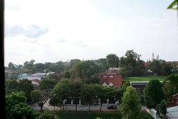 Blk 8 Farrer Gardens (Bukit Timah), HDB 3 Rooms #638076881